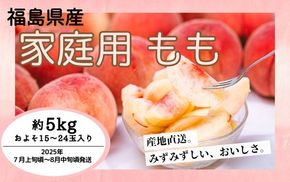 ◆2025年夏発送◆《産直・家庭用桃・約5kg》　※北海道・沖縄・離島への配送不可　※2025年7月上旬頃～8月中旬頃に順次発送予定