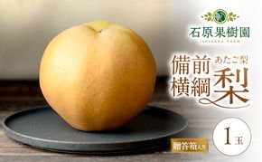 梨 2026年 備前横綱梨（あたご梨） 1玉 (1～1.4kg) 贈答箱 【11月下旬～12月中旬頃発送】ナシ なし 岡山県産 国産 フルーツ 果物 ギフト 石原果樹園 