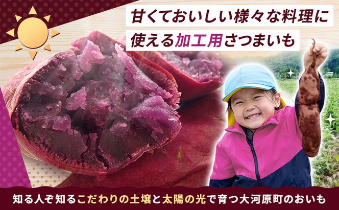 さつまいも 約10kg ふくむらさき 加工用 大きいサイズ サツマイモ 宮城県産 甘い 秋 冬 スイーツ いも 産地直送 宮城県 大河原町