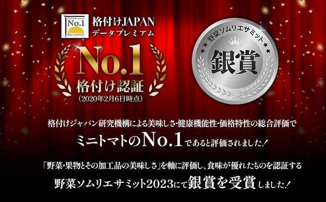 【高糖度11以上】PREMIUM ENRICH MINI TOMATO 300g（プレミアムエンリッチミニトマト）【28004AA0101】