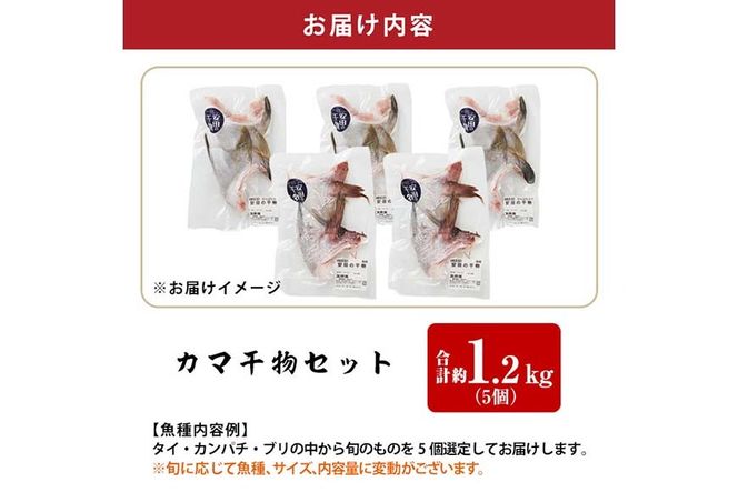 カマ 干物 セット 合計約1.2kg(5個) タイ カンパチ ブリ 詰め合わせ ひもの 焼き魚 鮮魚 専門店 魚屋 ソフト おかず お惣菜 【YS-8】【株式会社安田】
