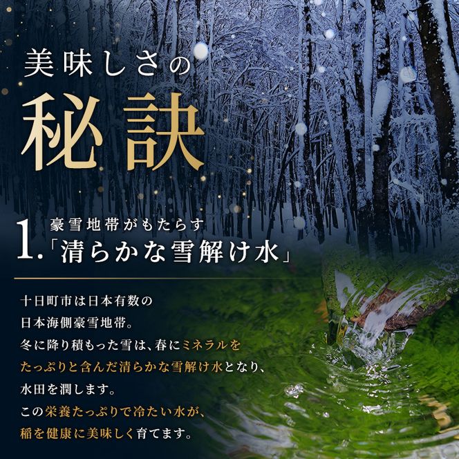 【3か月定期便】魚沼産コシヒカリ10kg(5kg×2)