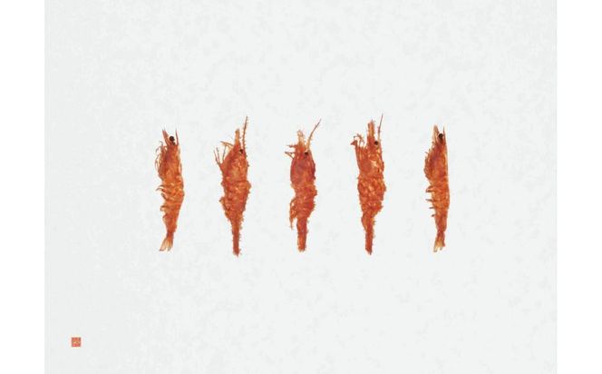 桂新堂 海老づくし（4カップと13袋入） 232238_Z026-PR