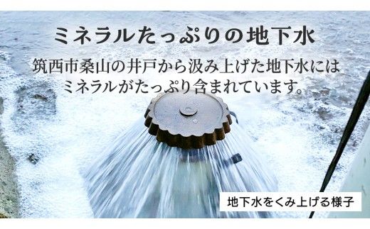 【 訳あり 】 地下水100％で作る美味しい 「 桃太郎トマト 」 4kg 野菜 桃太郎 トマト とまと 地下水 ミネラル [DU010ci]