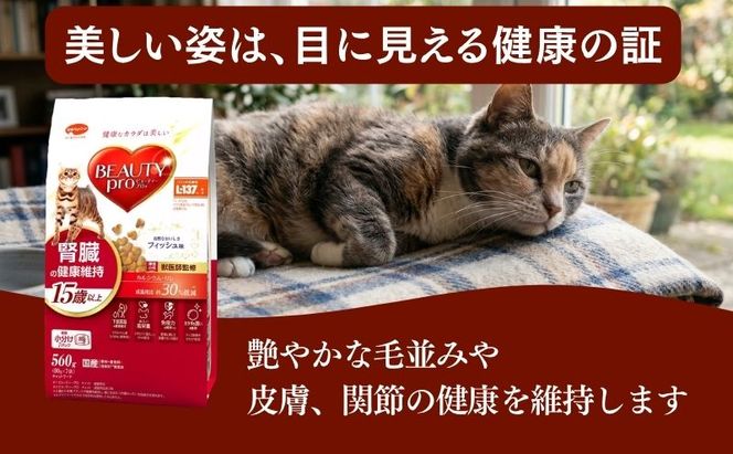 ビューティープロ キャット 腎臓の健康維持 15歳以上 560g ｘ10(ケース単位) キャットフード
