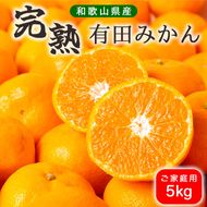 濃厚完熟！ 有田みかん 約5kg (2S～Lサイズ混合 家庭用) _BG6106n