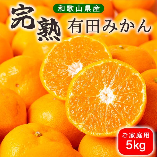 濃厚完熟！ 有田みかん 約5kg (2S～Lサイズ混合 家庭用) _BG6106n