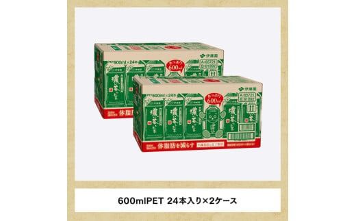 【期間限定】お～いお茶　濃い茶600ml×48本PET【緑茶 お茶 ペットボトル セット 備蓄 ソフトドリンク ケース お～いお茶】 [C07330]