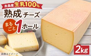 【糸島産生乳100％使用の手作りチーズ】コハク熟成 1ホール 糸島市 / 糸島ナチュラルチーズ製造所TAK-タック- [AYC011] チーズ おつまみ 乳製品 ギフト 贈答 贈り物 手づくり 生乳 プレゼント