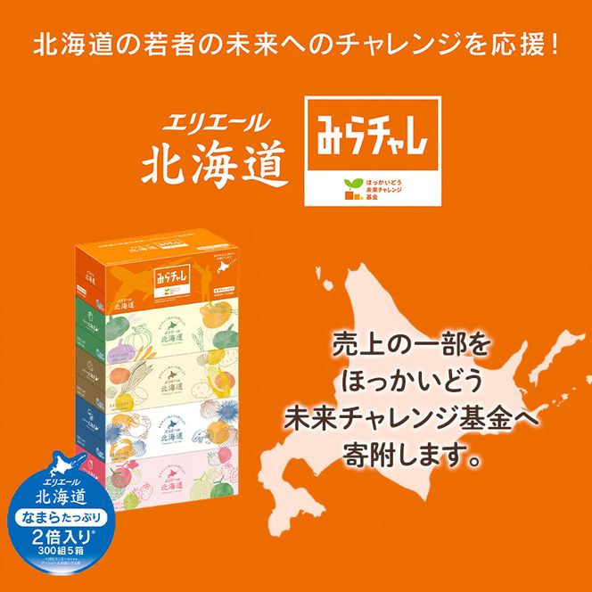 【2回お届け 計100箱】エリエール 北海道 ティシュー なまらたっぷり 300組5箱 10パック 大容量 まとめ買い 防災 常備品 備蓄品 消耗品 日用品 生活必需品 送料無料 赤平市 ストック 