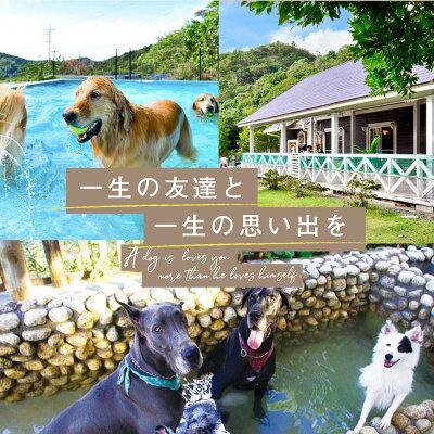 AL6011_ペットと泊まるログコテージの宿『パートナーズハウスゆあさ』3名様宿泊券（1泊2食付）【チケット 券 宿泊 宿泊券 旅行 旅行券 利用券 旅館 トラベル】