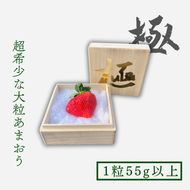 いちご 大粒 あまおう 苺 「極」 1粒55g以上 2027年早期受付 果物