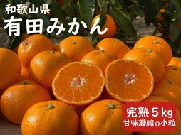完熟 小粒 有田みかん 5kg 甘味凝縮 和歌山県産 産直45年 武内園 BA04 