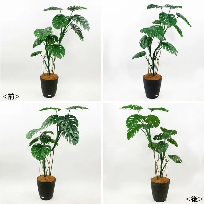 アートフラワー エミリオ・ロバ モンステラ(根付き）TUTTA06750