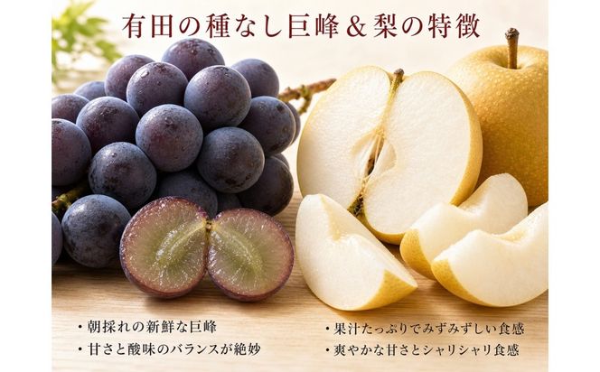 紀州有田産の種なし巨峰と梨セット 計約2kg【先行予約】【2027年8月中旬以降発送予定】AN027