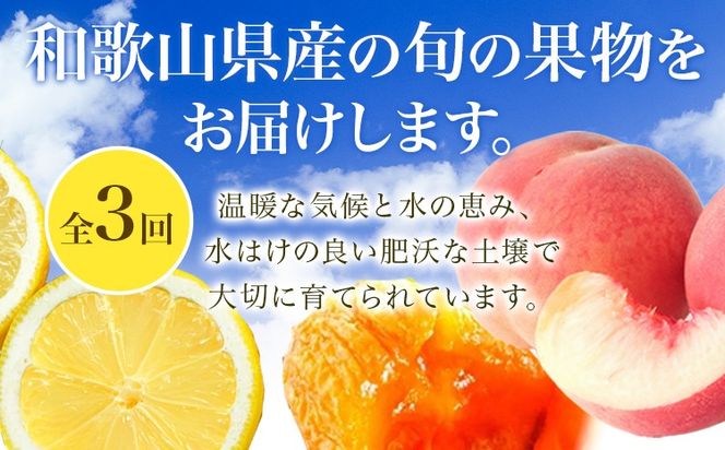 【定期】紀州和歌山産 旬のフルーツセット(干し柿 レモン 桃) 株式会社魚鶴商店《1月上旬-8月上旬頃出荷》和歌山県 日高川町 柿 干し柿 レモン 桃 もも フルーツ---wshg_uot106tei_26_45000_137y3---