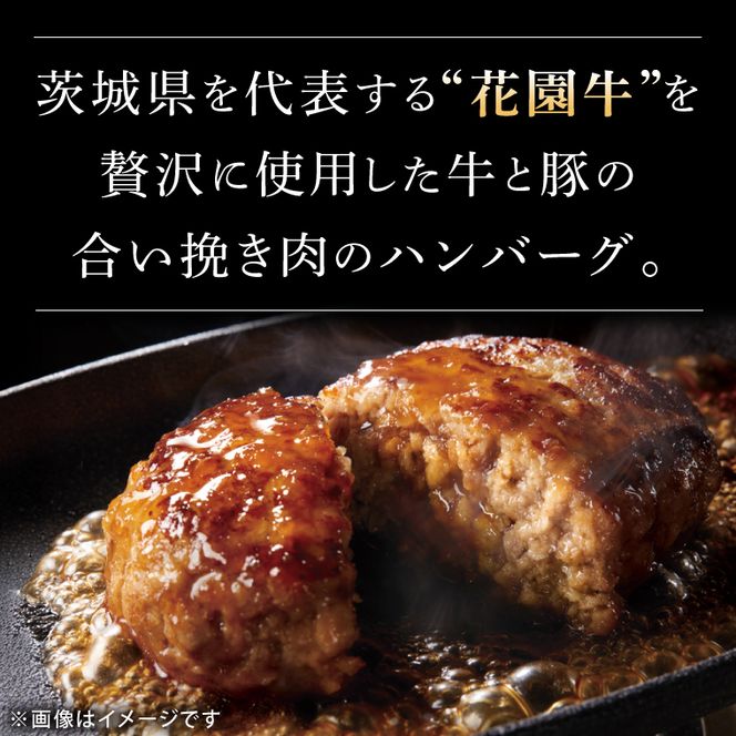 正直米とBHTハンバーグ【米 お米 こめ ハンバーグ 肉 お肉 贅沢 冷凍 茨城県 北茨城市】(BY003)