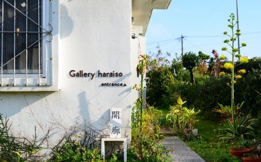 【沖縄のかわいい器】土の種のネコ皿　カラー