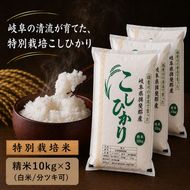【令和7年産】特別栽培米 30kg【白米、7分ツキ】（コシヒカリ）