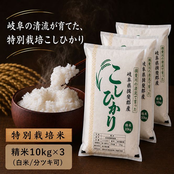 【令和7年産】特別栽培米 30kg【白米、7分ツキ】（コシヒカリ）