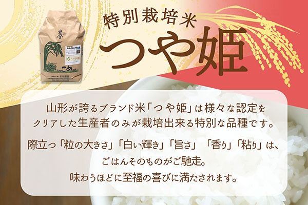 【新米受付】令和8年産 特別栽培米 つや姫 10kg 石垣農園 5kg×2袋 2026年産 ブランド米 米 国産 単一原料米 山形 庄内平野 コシヒカリの原点、亀の尾発祥の地 庄内【R8.10月以降発送開始/入金期限：2026年9月15日】