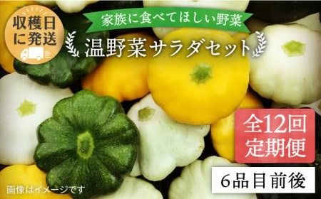 [ 全12回定期便 ][ 福岡県 糸島産 ]朝採れ 温野菜 サラダ セット[糸島][オーガニックナガミツファーム][AGE021] 野菜セット 野菜 やさい サラダ 詰め合わせ トマト とまと 野菜野菜セット 野菜やさい 野菜サラダ 野菜詰め合わせ 野菜トマト 野菜とまと 野菜ベビーリーフ 野菜水菜 野菜ハーブ 野菜オクラ 野菜人参 野菜にんじん 野菜ニンジン 野菜ほうれん草 野菜クレソン 野菜かぼちゃ 野菜カボチャ 野菜じゃがいも 野菜玉ねぎ