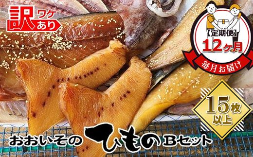 159-2003-09　【定期便12か月】おおいその干物Bセット（15枚以上）／ 季節で変わる旬な訳あり品 【 ひもの 魚 天日干し 神奈川県 大磯 湘南 特産品 12回お届け 神奈川県 大磯町 自家製干物 贈答品 地魚 お歳暮・お中元】