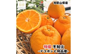 特選 濃厚 不知火 (通称デコポン)  約2kg+200g(傷み補償分) ※2027年1月下旬～3月下旬に順次発送【ard257】