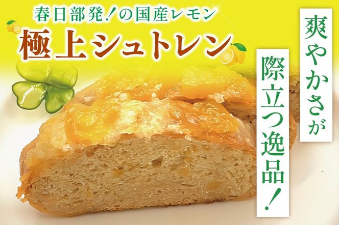 爽やか国産レモンの丸ごとシュトレン～レモンの恵み～【埼玉県　春日部　お菓子　スイーツ　手作り】（DA011）