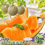 【2027年7月～発送】富良野産 赤肉 メロン ≪ラベンダー付≫ 3玉 計6kg以上 北海道 富良野市 (加納農園) メロン フルーツ 果物 新鮮 甘い 贈り物 ギフト 道産 ジューシー おやつ ふらの ブランド 夏