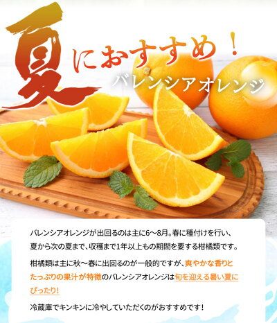 G7078_希少な 国産 バレンシアオレンジ 2.5kg 秀品