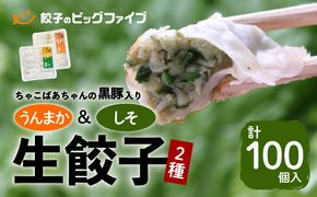 ちゃこばあちゃんの黒豚入りうんまか・しそ生餃子　計100個入り　K027-006