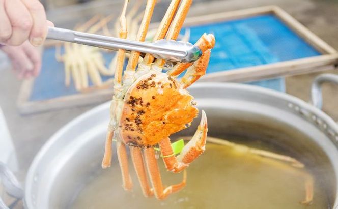 【配送日指定可】茹で松葉蟹 特々大1杯（1,100g級）蟹 カニ かに 松葉蟹 松葉ガニ ズワイガニ ボイル myz05 myz11 myz16