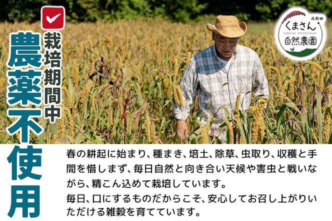 雑穀 ひえ 計600g（200g×3袋） 農薬不使用 無農薬 ご飯に混ぜて炊くだけ 国産 国内産|kgrl-00021