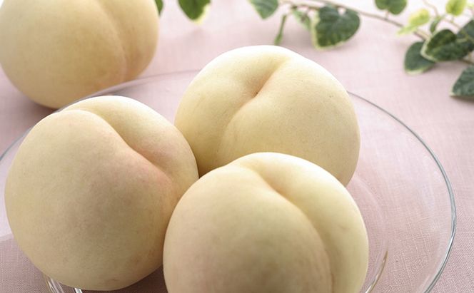 【2026年先行予約】 桃 シャインマスカット 晴れの国 旬 の フルーツ 定期便 2回 コース ( 白桃 ・ シャイン ）《2026年7月上旬-10月上旬頃出荷》 もも モモ 葡萄 ブドウ 岡山 里庄 数量限定 