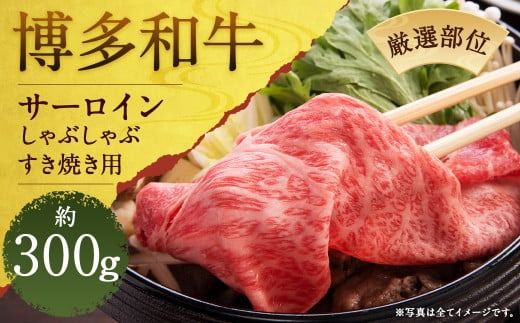 yÖszyIʁzaT[CԂԂĂp 300g