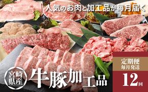  ＜12か月定期便 宮崎県産 牛・豚・加工品定期便！＞ K16_T005_1