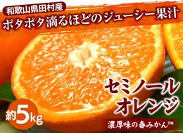セミノールオレンジ[約5kg]湯浅町田村産春みかん【果実サイズおまかせ】｜和歌山県産 柑橘 フルーツ 紀伊国屋文左衛門本舗