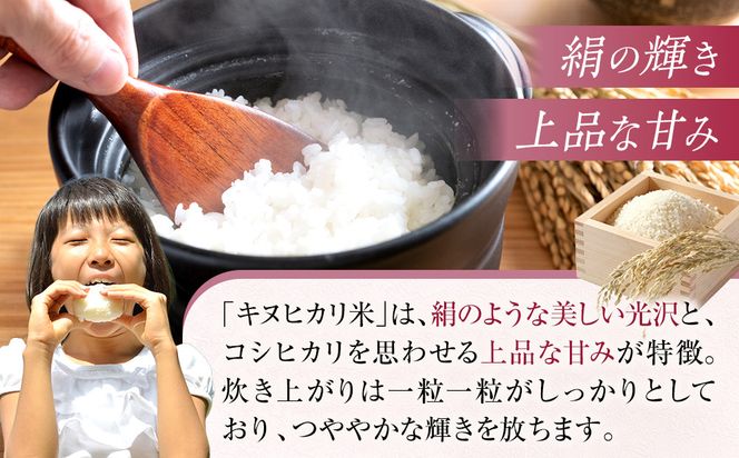 和歌山県産 米 キヌヒカリ 10kg  (2025年産)［SL28］ 303446_CG90020