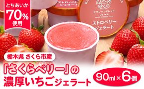 【とちあいか70％使用】栃木県さくら市産「さくらベリー」の濃厚いちごジェラート 90ml×6個
