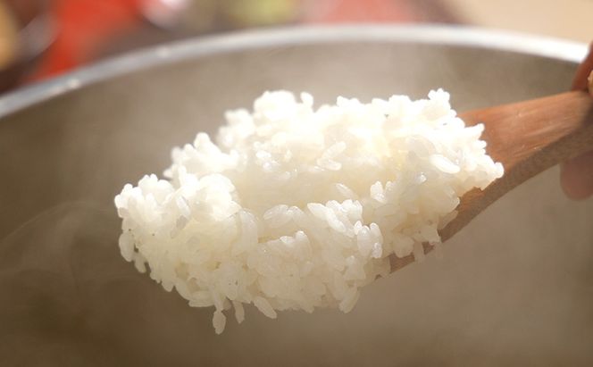 米 頂米銀兵衛 魚沼産コシヒカリ（精米）5kg  こしひかり コメ お米 ごはん ご飯 新潟 十日町市