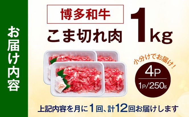 【全12回定期便】博多和牛 こま切れ 1kg （250g×4）《築上町》【肉のくまもと屋】 小分け 小間切れ[ABEZ004]