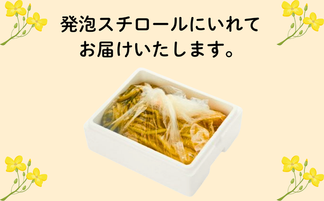 【期間限定】《3kg》 野沢菜 本漬 〜漬物屋さんが漬けた北信州の家庭の味〜 《2026年12月上旬より順次発送》 （Bl-004）