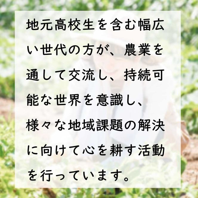 S25足柄ふれあい公園　体験農園　みんなの畑・おやま協賛プラン	