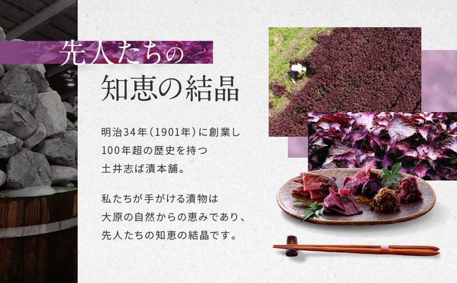 【土井志ば漬本舗】人気の漬物・旬の漬物5種5点詰め合わせ RL30(秋冬)｜京都大原 老舗 有名店 食べ比べ［ 千枚漬 はんなり漬白菜 はんなり漬きゅうり 志ば漬きざみ はりはり漬 5種5点 人気セット おすすめ 野菜 つけもの ギフト プレゼント 贈答 お取り寄せ 通販 送料無料 ふるさと納税 ］ 261009_A-AZ029