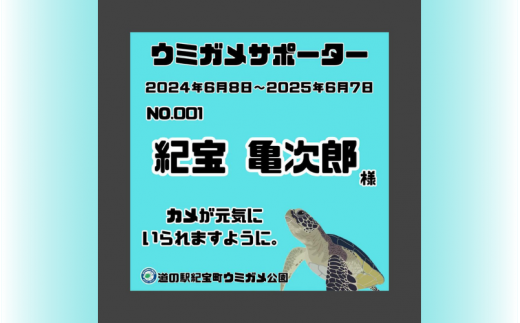 紀宝町ウミガメ公園 ウミガメサポーター（1年間） / ウミガメ サポーター ウミガメ公園 三重県 紀宝町 イベント 餌やり【rkr016】