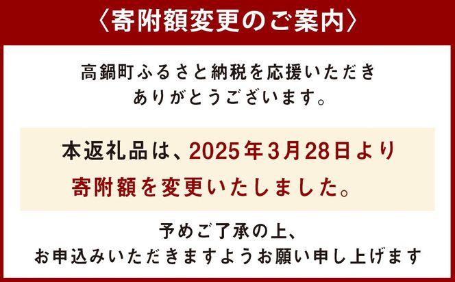 ＜宮崎県産 生ライチ 500g＞ 2025年7月上旬～7月下旬迄に順次出荷【c644_mk_x5】