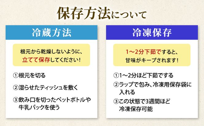 北海道 洞爺湖町産 グリーンアスパラ 約1kg L～2L混合 5月下旬頃お届け 2026 先行受付 路地 アスパラ アスパラガス 野菜 農作物 サラダ 天ぷら 新鮮 国産 人気 お取寄せ 産地直送 冷蔵 洞爺湖 