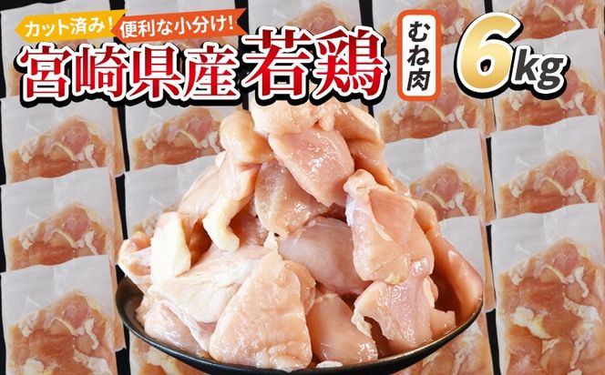 y{茧xz{茧Y{ؐg ނ˓ 6kgi300g×20܁j X܂łɏoׁy 炠 g J[ V`[ BBQ ϕ `L   ܂ ٓ y Z uߕ ȒP z yb0794_it_x2z