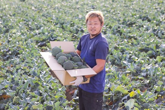 【収穫当日に発送します】豊かな大地“へきなん”から贈る ブロッコリー約11本【期間限定】 H139-028